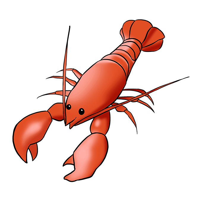 680x678 How To Draw A Lobster