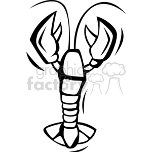 300x300 Lobster Drawing