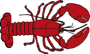 300x180 Collection Of Free Crawfish Drawing Lobster Claw Download On Ui Ex