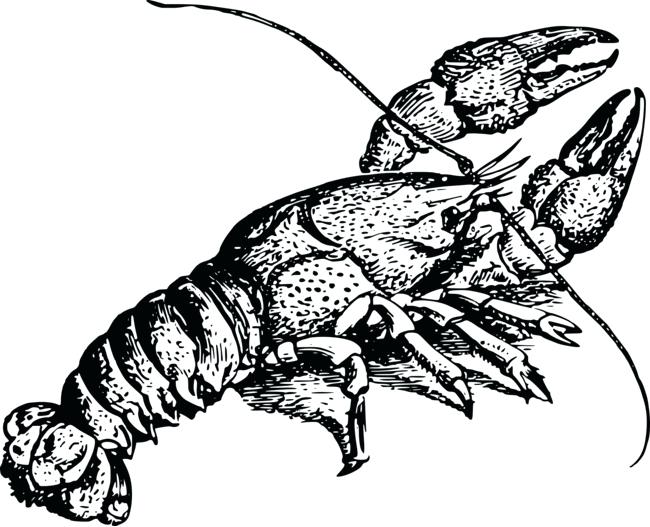 650x527 Coloring Pages Disney Cars To Print For Toddlers Halloween Cat