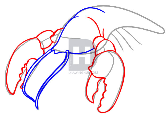 Как поэтапно нарисовать рака карандашом для детей