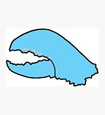 210x230 Lobster Claw Drawing Photographic Prints Redbubble