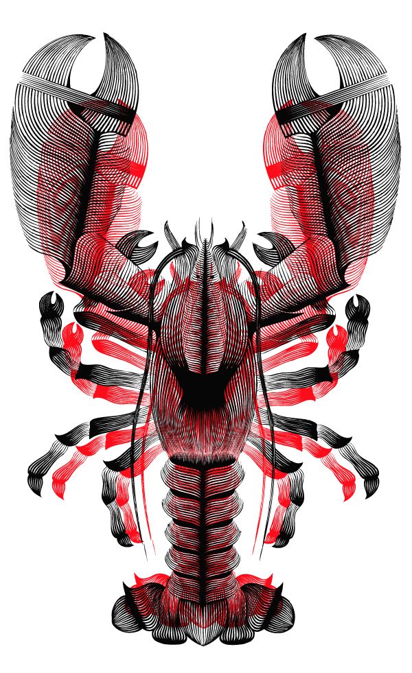 Lobster Claw Drawing Free download on ClipArtMag