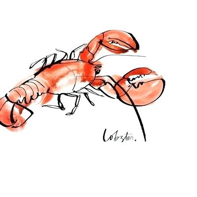 400x400 Draw Lobster