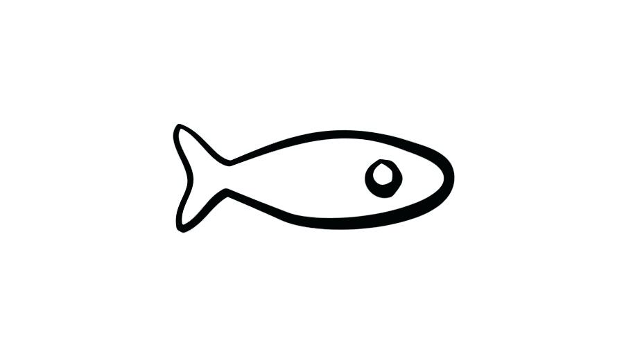 900x520 Drawing A Fish Fish Drawing Drawing Fish