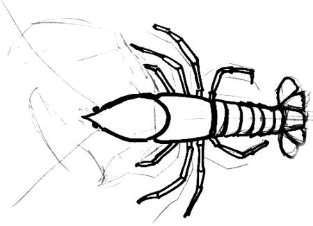 450x325 How To Draw A Lobster