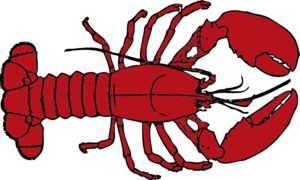 300x180 Lobster Drawing Clipart