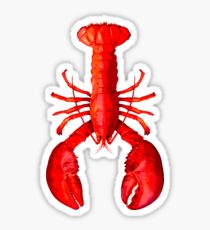 210x230 Lobster Drawing Stickers Redbubble