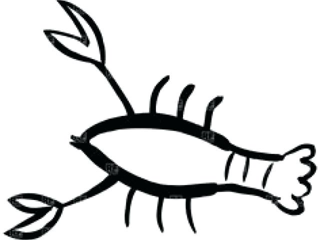640x480 Simple Lobster Drawing