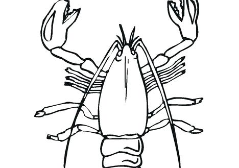 468x329 Lobster Coloring