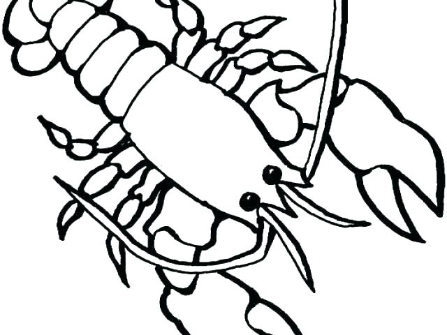 640x480 Lobster Coloring