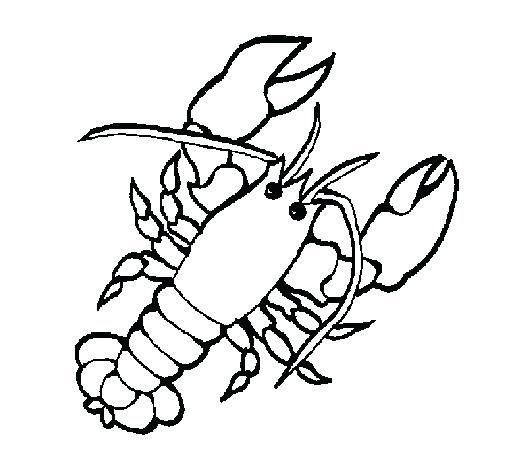 505x470 Lobster Coloring