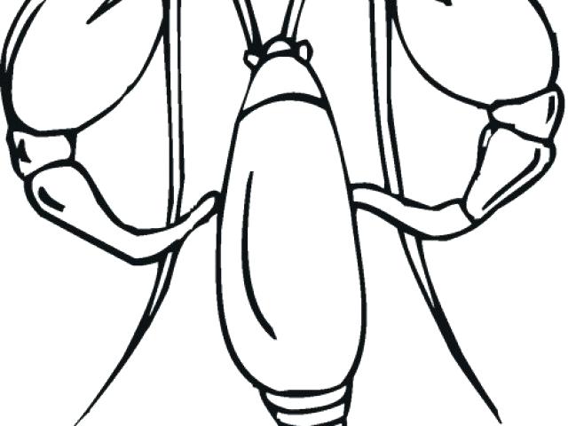 640x480 Lobster Coloring