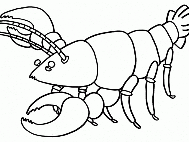 640x480 Free Drawn Lobster, Download Free Clip Art