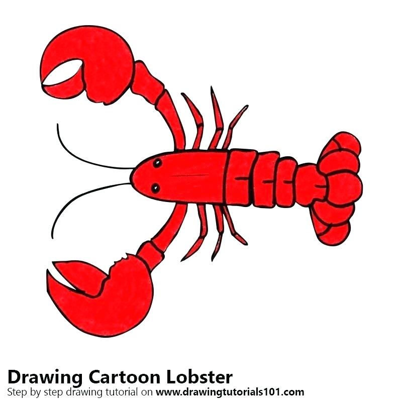 800x800 Simple Lobster Drawing Lobster Drawing