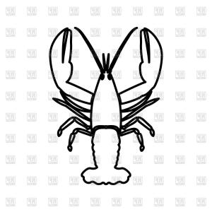 300x300 Vector Vintage Lobster Drawing Hand Drawn Monochrome Seafood Il Gm