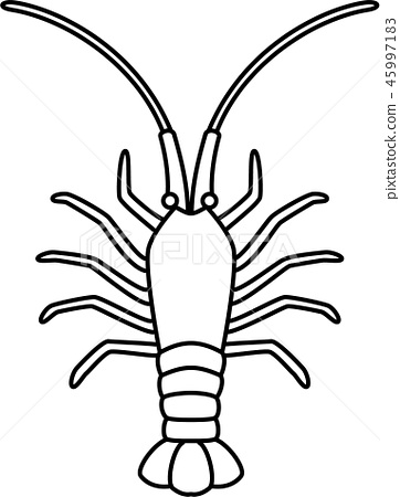 362x450 Spiny Lobster
