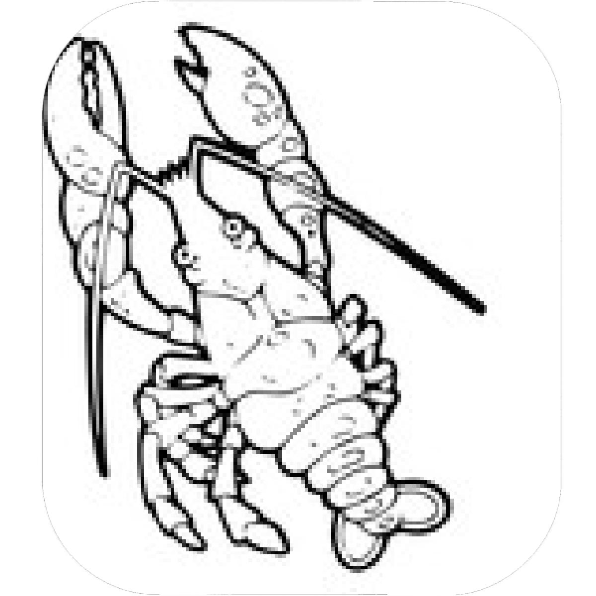 1200x1200 Designs Mein Mousepad Design Mousepad Selbst Designen