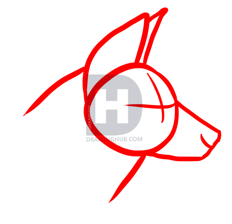 744x720 How To Draw African Wild Dogs, Step