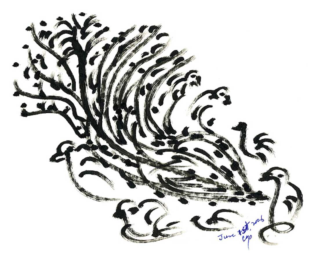 1073x890 Bird Drawing