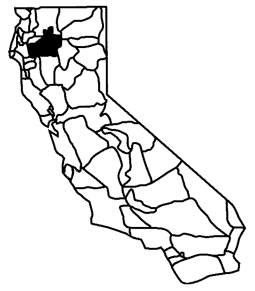 525x600 Collection Of Free California Drawing Man Download On Ui Ex