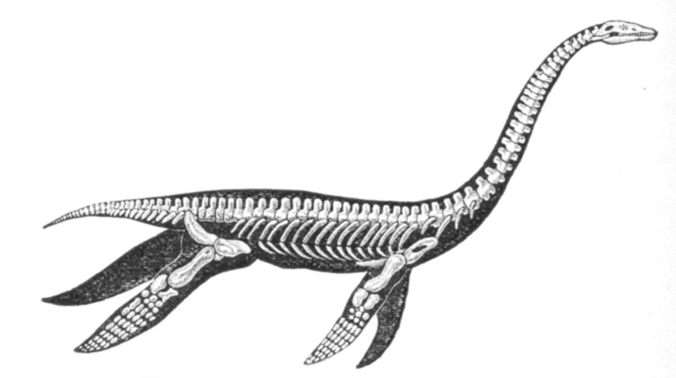 676x378 ancient 'loch ness monster' reptiles swam like penguins
