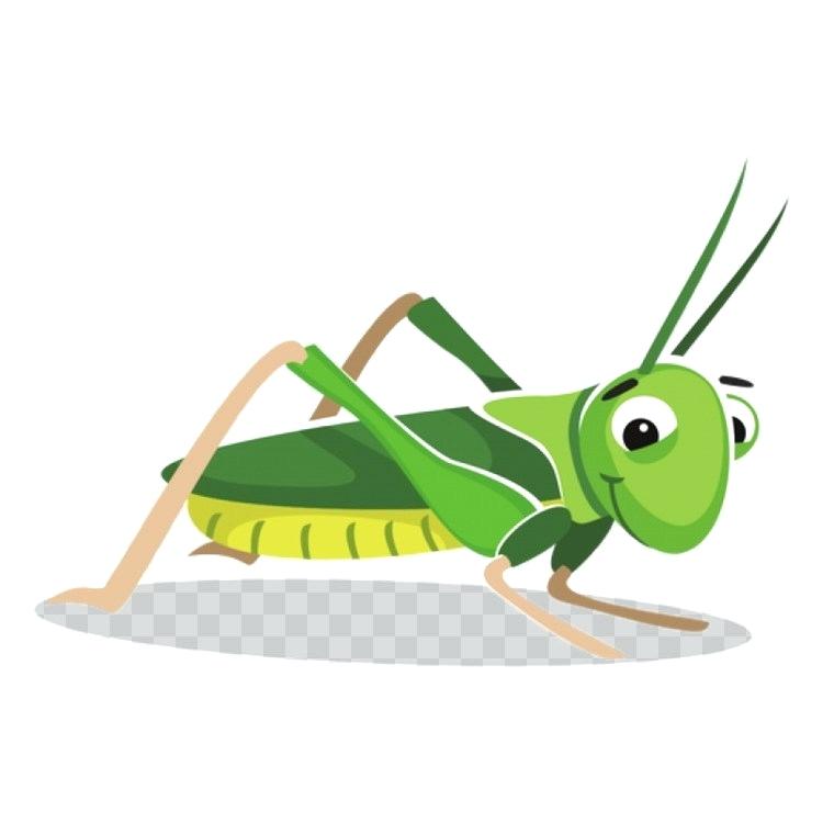 760x750 draw a grasshopper insect grasshopper drawing locust cartoon draw