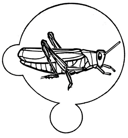 448x484 Shadow Of The Locust