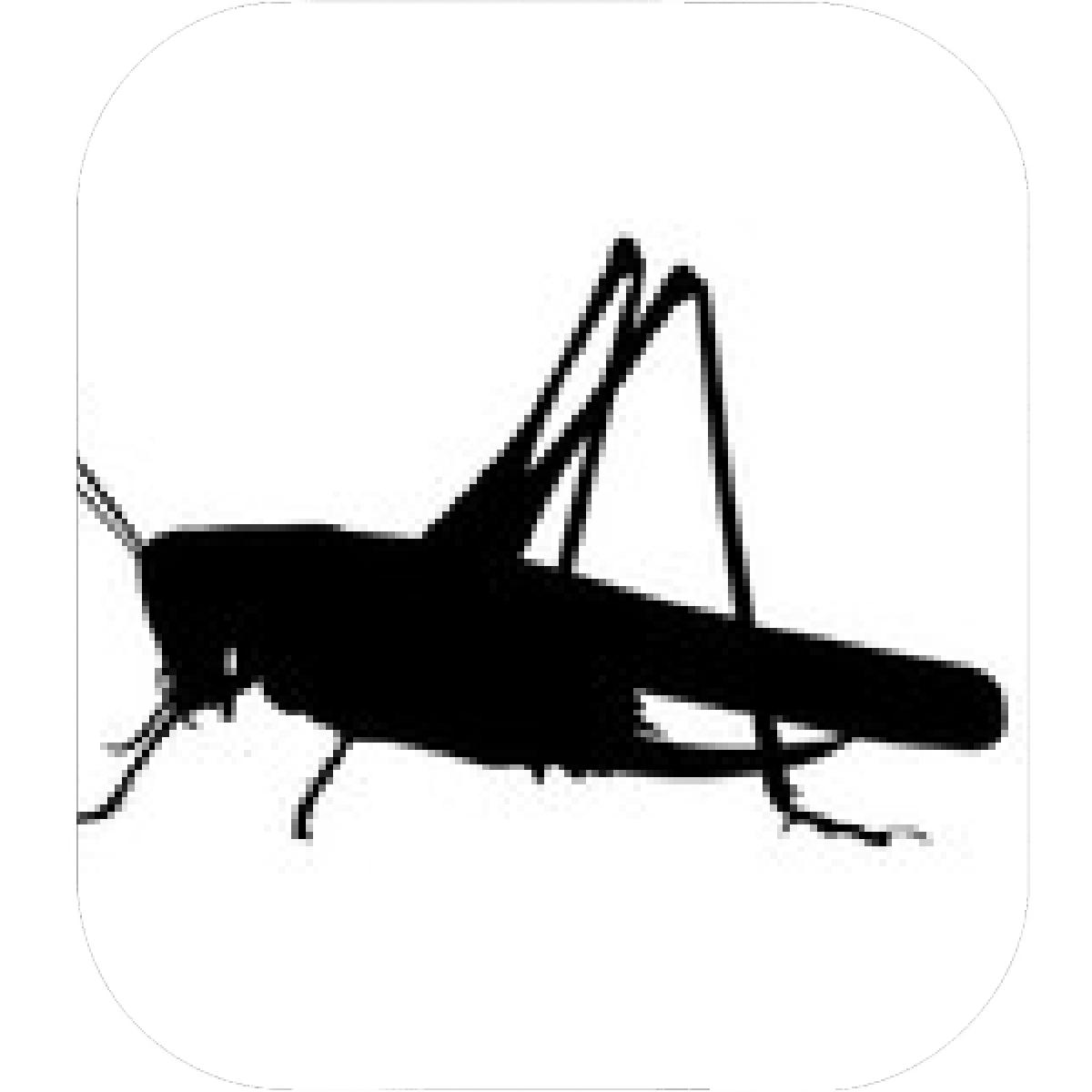 1200x1200 Designs Mein Mousepad Design Mousepad Selbst Designen