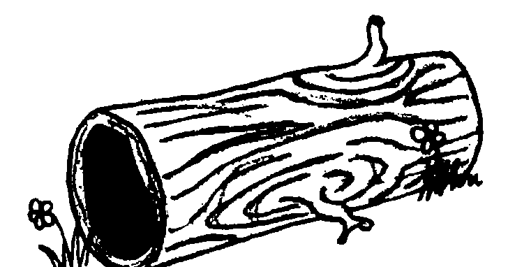 728x382 Collection Of Free Logs Clipart Hollow Log Amusement Clipart