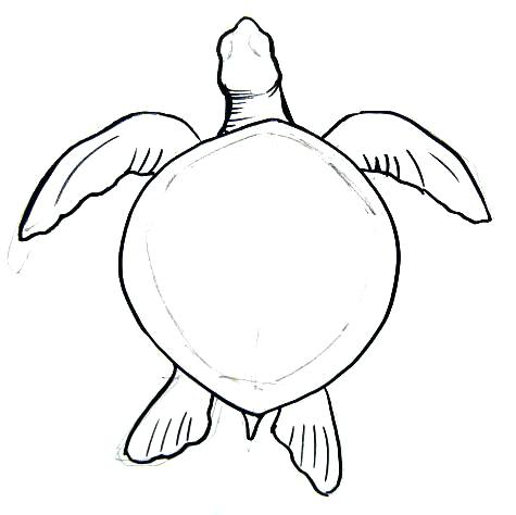 475x474 how to draw turtles sea turtle drawing draw ninja turtles face