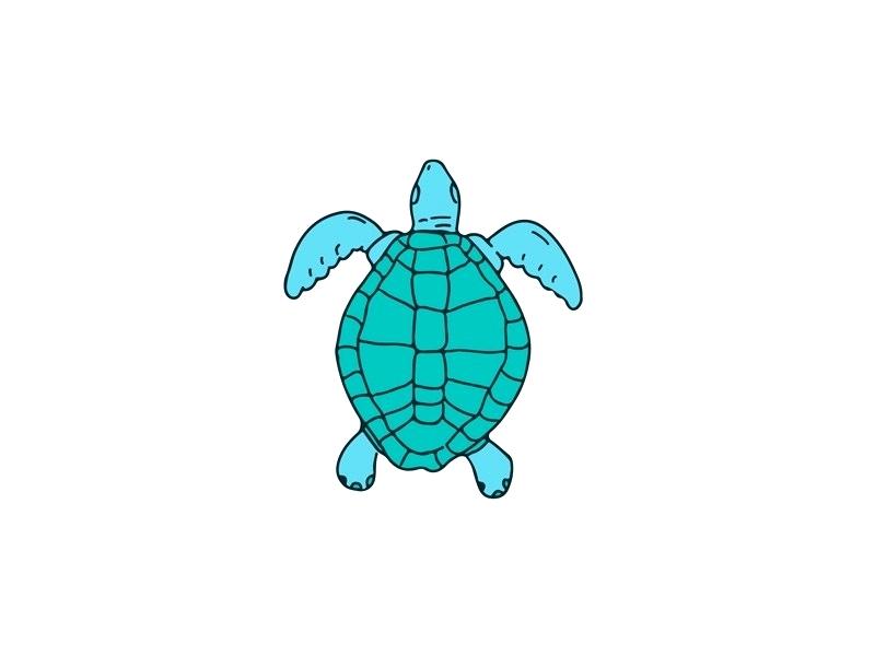 800x600 Drawing Of Turtle