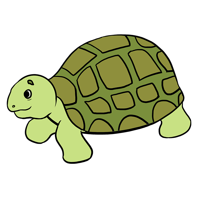 680x678 How To Draw A Sea Turtle