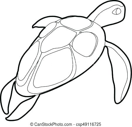 450x434 Turtle Drawing Outline