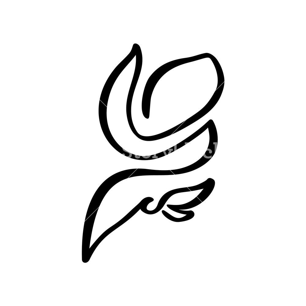 1000x1000 Rose Flower Concept Logo Beauty Continuous Line Hand Drawing