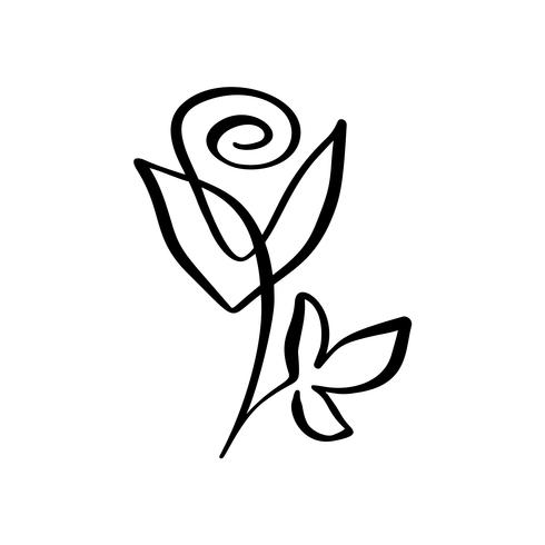 490x490 Rose Flower Concept Continuous Line Hand Drawing Calligraphic