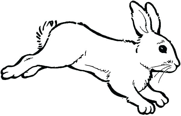 600x383 Coloring Pages Of A Rabbit Baby Bugs Bunny Bunn Betterfor