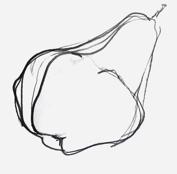 600x592 Pear Drawings