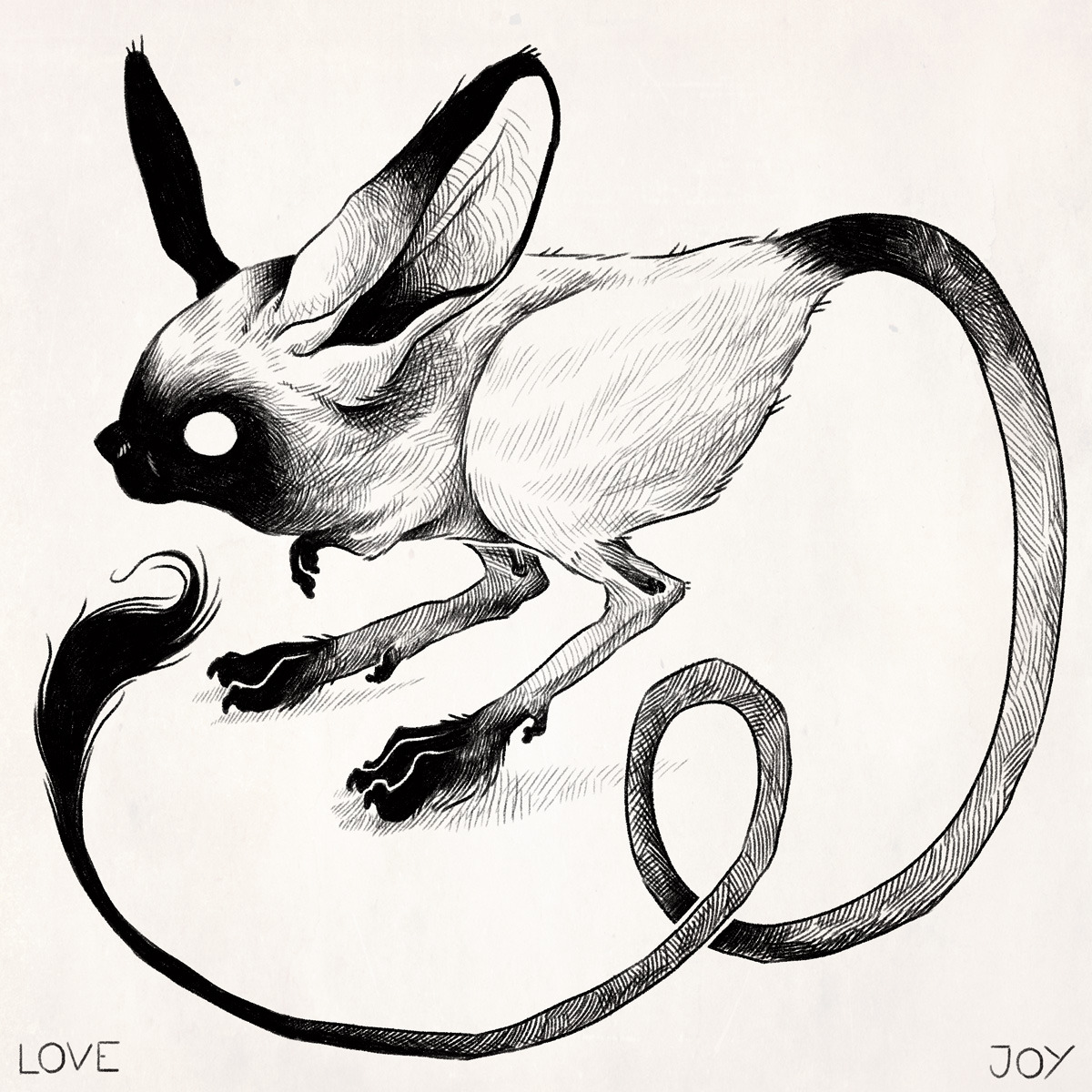 1200x1200 Evan Lovejoy Art Jerboa Study