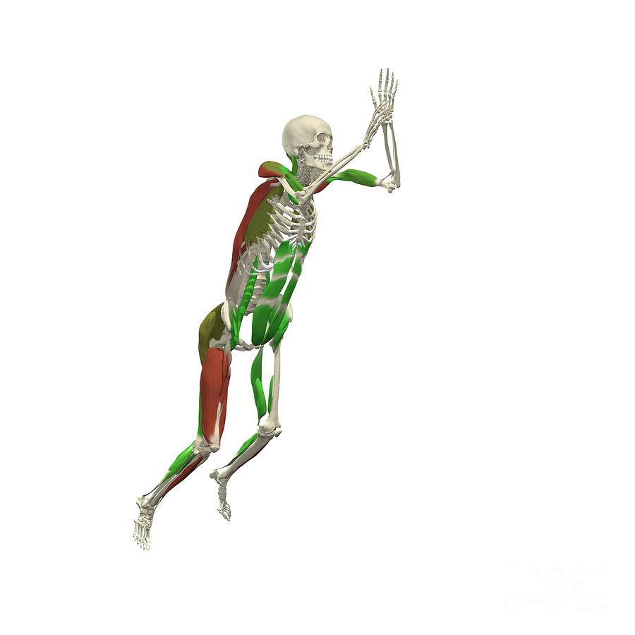 900x900 Standing Long Jump Photograph