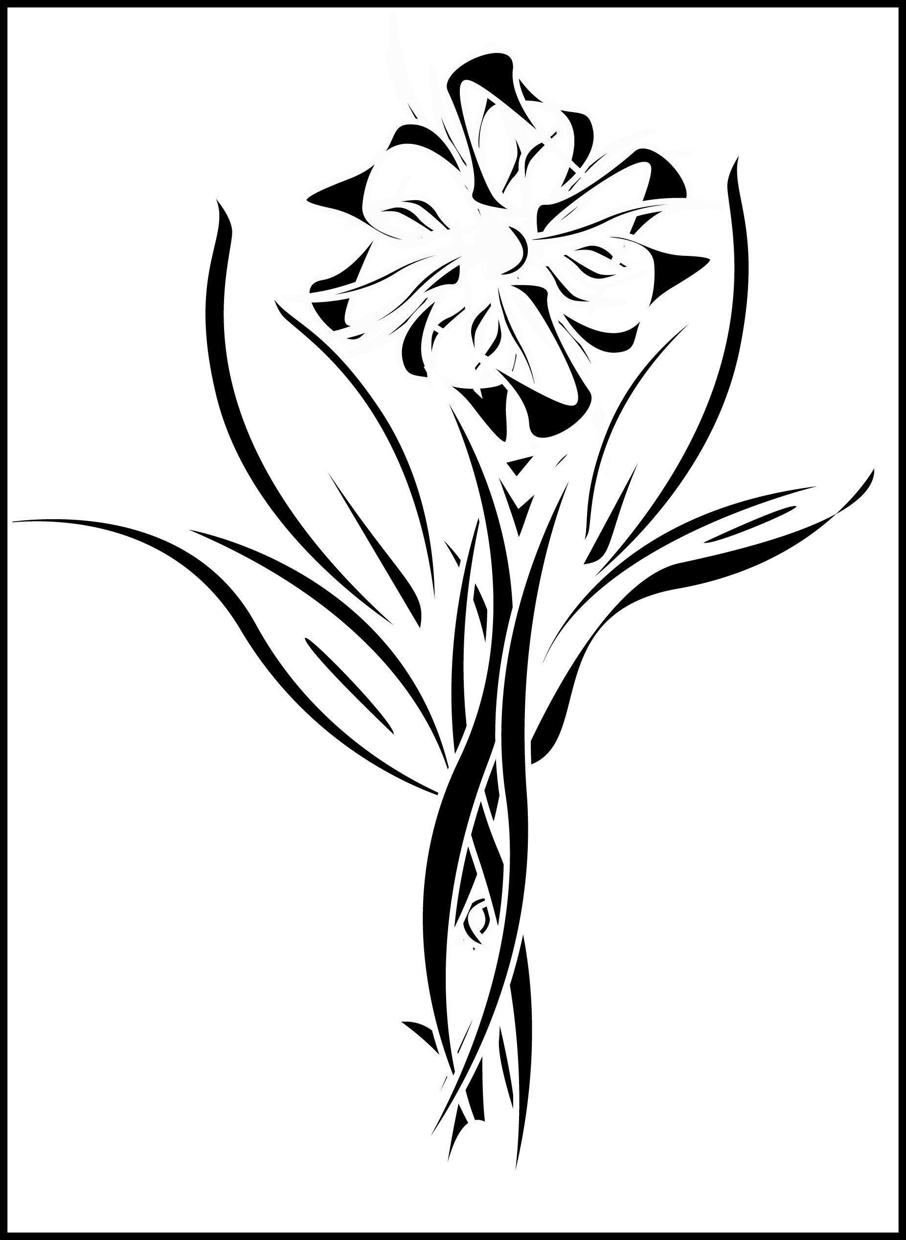 1852x2534 Long Stem Rose Drawing At Getdrawings Com