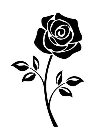 338x450 Roses Black Outline Drawing On White Vector Art For Rose
