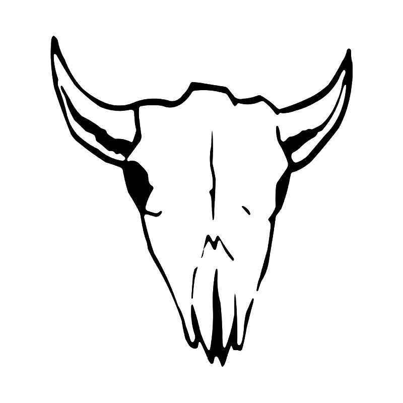 800x800 Longhorn Bull Skull Vinyl Sticker