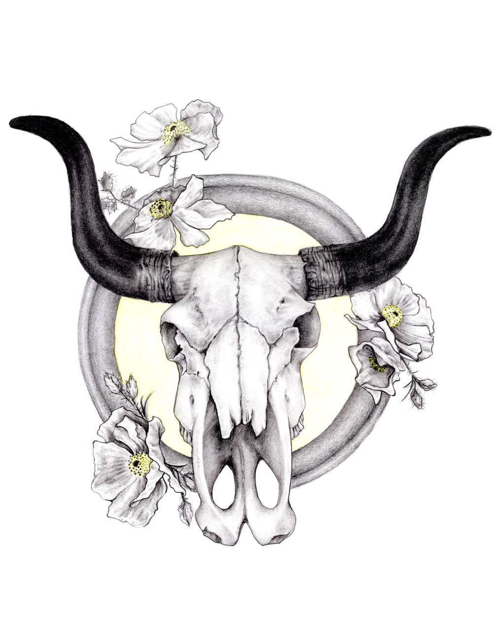 1000x1279 Longhorn Bull Skull And Prickly Poppies Jacquelyn Levan
