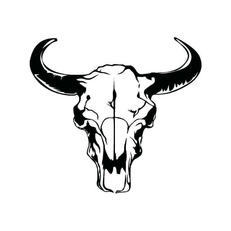 800x800 Longhorn Cow Skull Texas Tattoo Head Vector Illustration