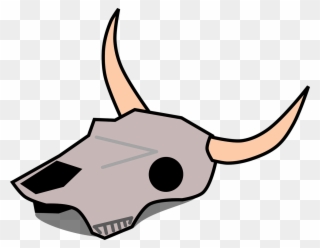 320x248 Texas Longhorn English Longhorn Skull Drawing Bull