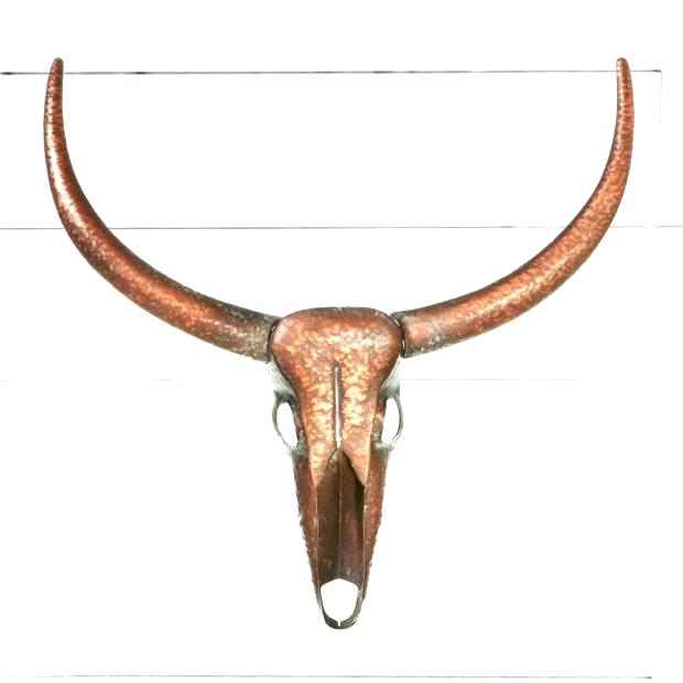 620x620 Longhorn Cow Skull