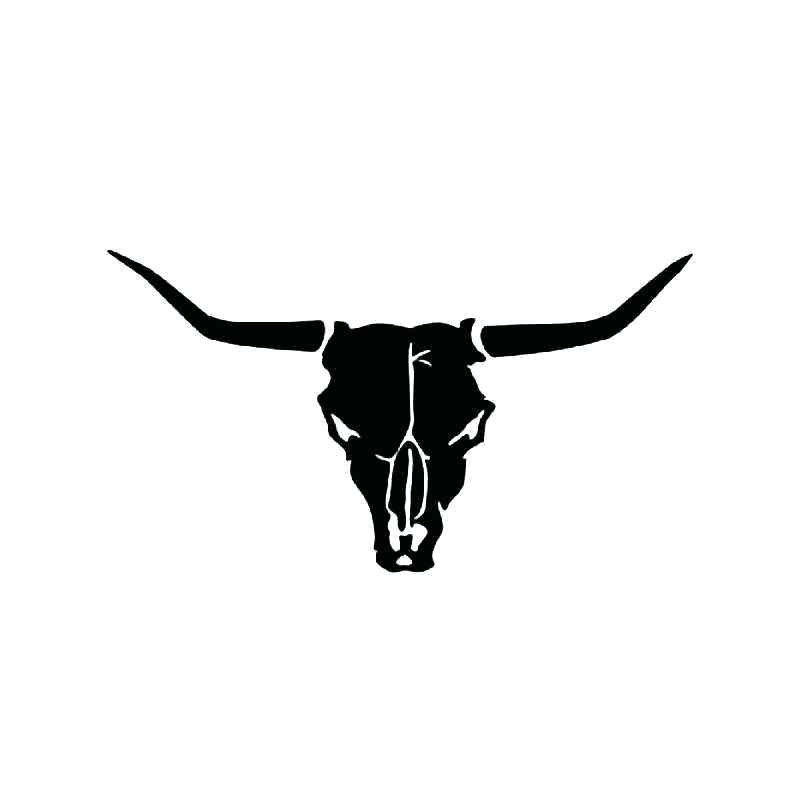 800x800 Texas Longhorn Skull Peers