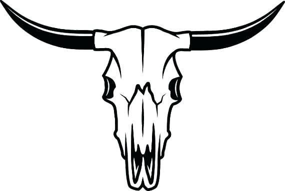 570x381 Drawn Bull Longhorn