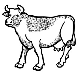 260x260 Download Cow Line Drawing Clipart English Longhorn Texas Longhorn